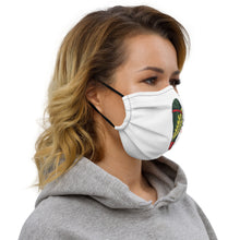 Load image into Gallery viewer, Premium face mask